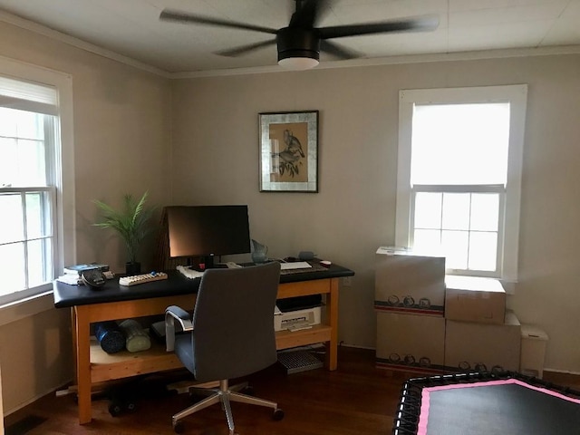 707 W S Ave, Harrison, AR 72601 - home office with ornamental molding, plenty of natural light, wood finished floors, and a ceiling fan