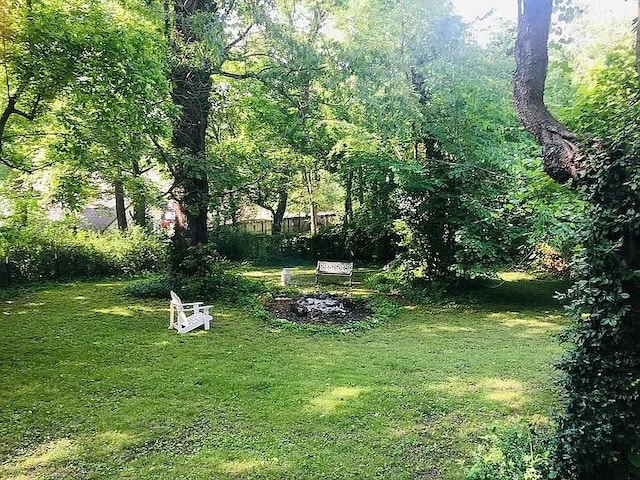 707 W S Ave, Harrison, AR 72601 - view of green lawn