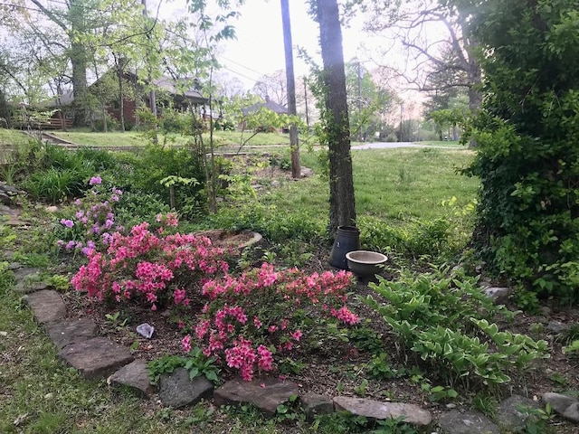 707 W S Ave, Harrison, AR 72601 - view of yard