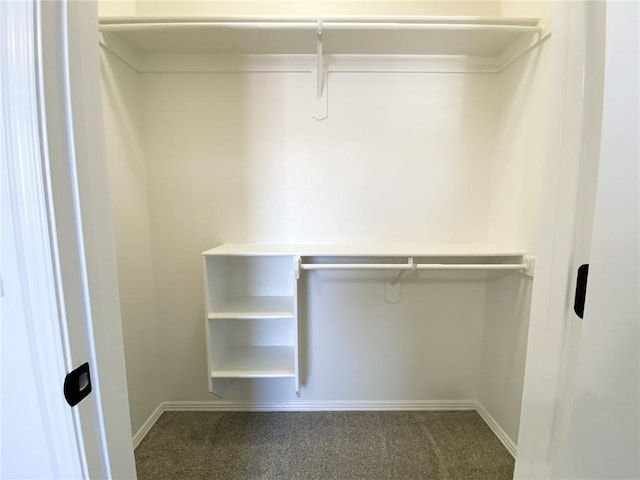 spacious closet with carpet floors