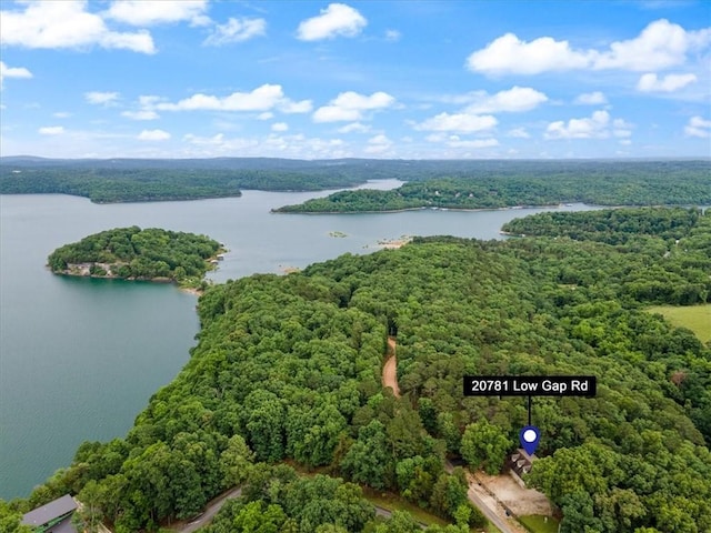 birds eye view of property featuring a forest view and a water view