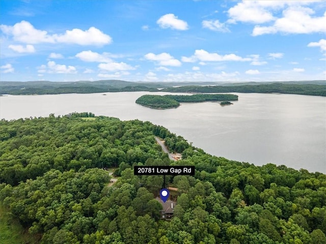 aerial view featuring a forest view and a water view