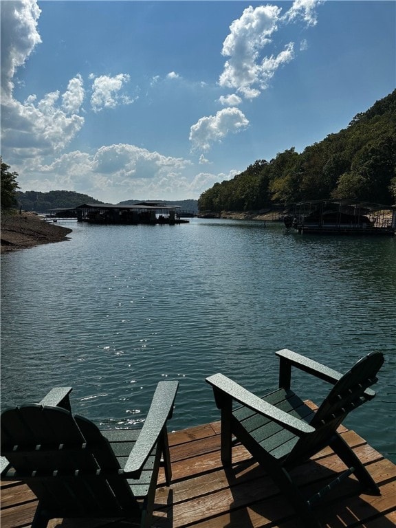 dock area featuring a water view