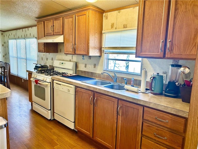 kitchen with white appliances, wood finished floors, a sink, under cabinet range hood, and brown cabinets