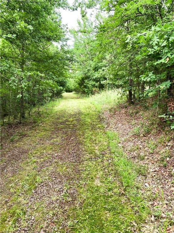 476359 791st Rd, Stilwell, OK 74960 - view of yard featuring a view of trees