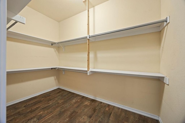 spacious closet with wood finished floors