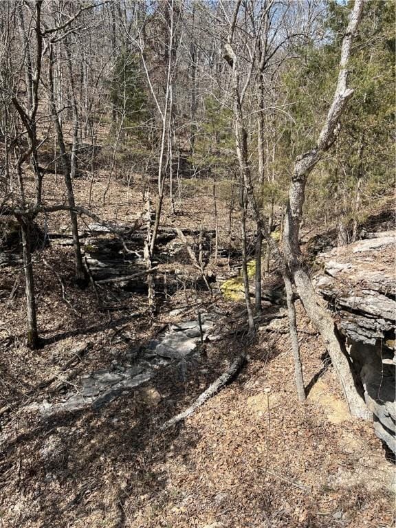 Listing photo 3 for 398 County Road 1486, Eureka Springs AR 72632