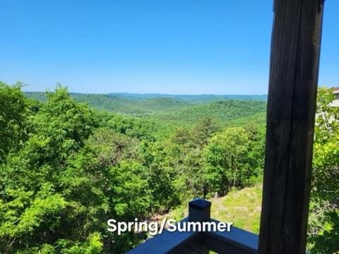 property view of mountains with a forest view