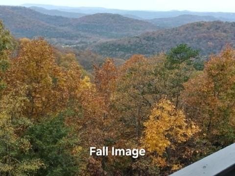 view of mountain feature featuring a view of trees