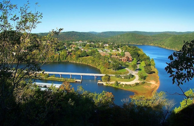 birds eye view of property featuring a view of trees and a water view