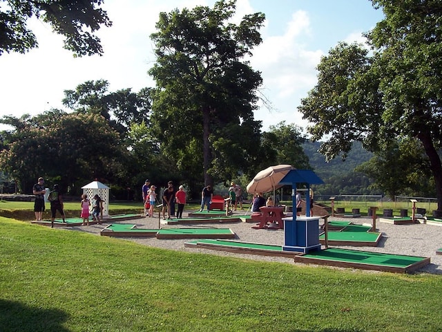 view of community featuring a lawn