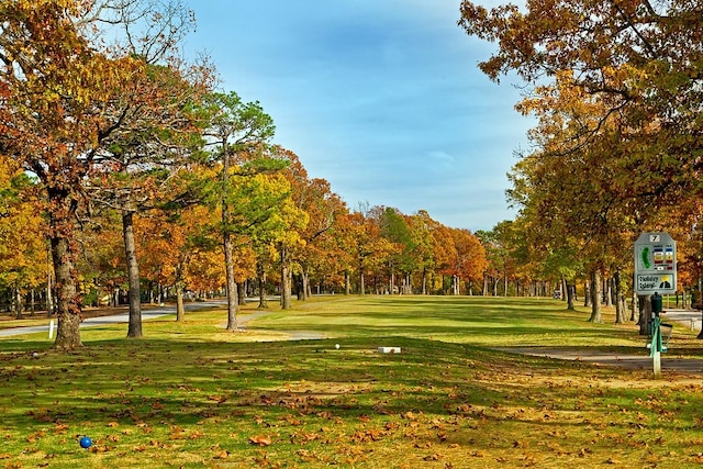 view of property's community featuring a yard