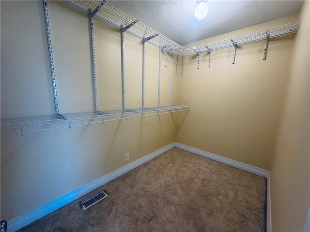 walk in closet featuring carpet and visible vents