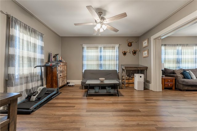 workout area featuring crown molding, a healthy amount of sunlight, and light wood-type flooring