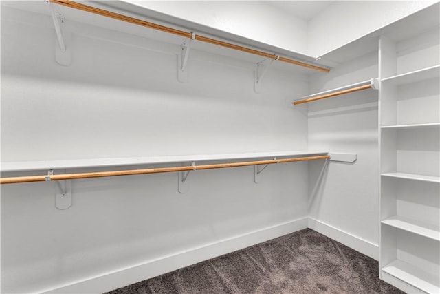 walk in closet with dark carpet