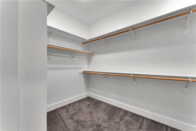 spacious closet with dark colored carpet