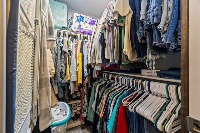 view of spacious closet