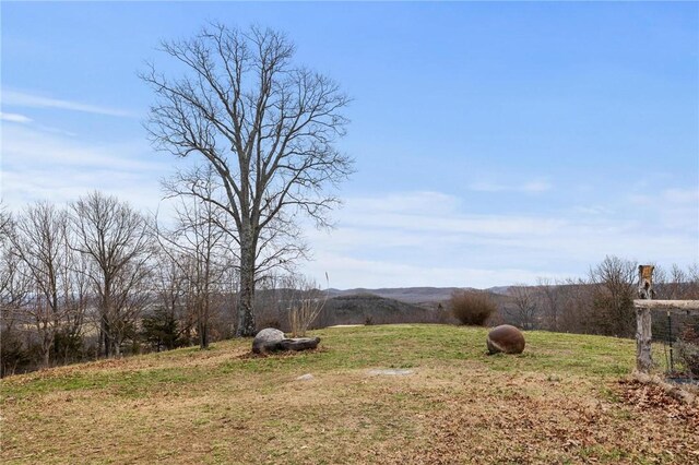 view of yard featuring a rural view