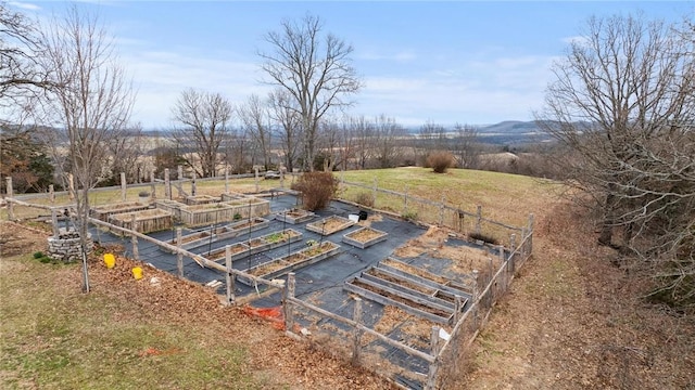 view of yard with a rural view and a vegetable garden