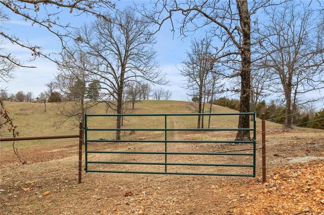 view of gate with a rural view