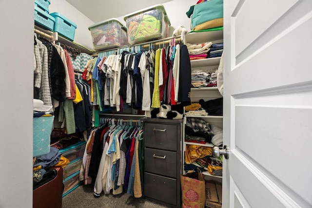 walk in closet with carpet flooring