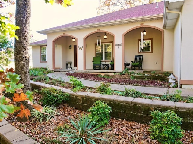 entrance to property with stucco siding, a porch, and roof with shingles