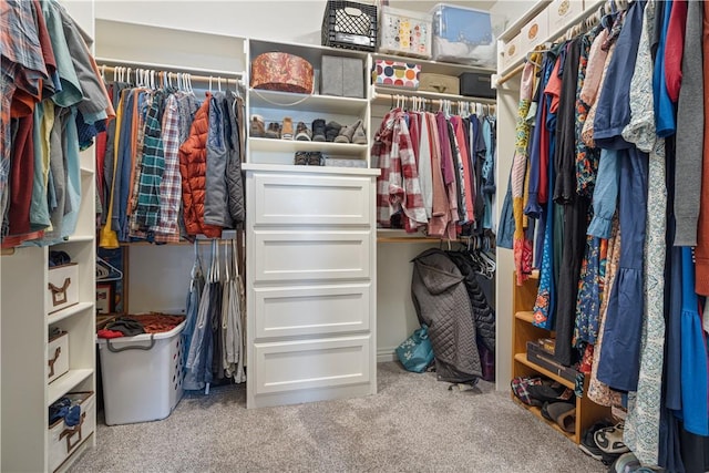 walk in closet featuring carpet flooring