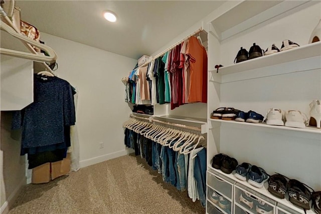 spacious closet with carpet