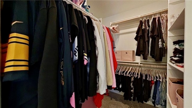 spacious closet featuring carpet flooring