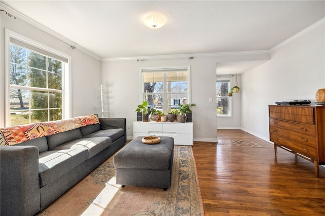 living area featuring crown molding, baseboards, and wood finished floors