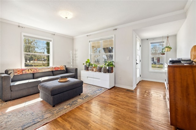 living area featuring a wealth of natural light, ornamental molding, baseboards, and wood-type flooring