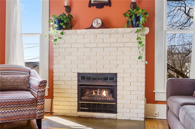 details featuring wood finished floors and a fireplace