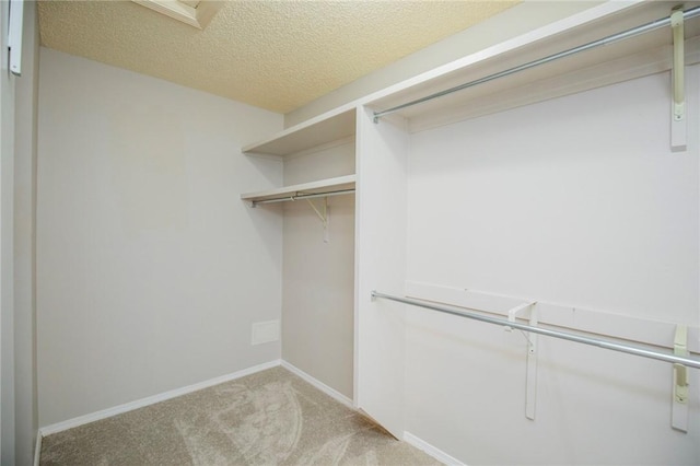 9 Cromer Dr, Bella Vista, AR 72715 - spacious closet with carpet