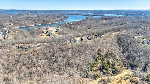 bird's eye view featuring a water view and a view of trees