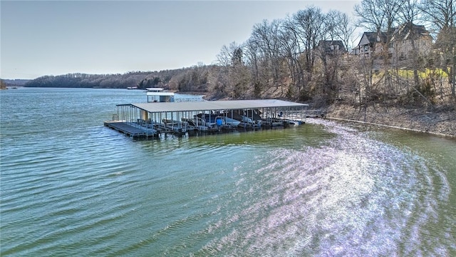 dock area with a water view