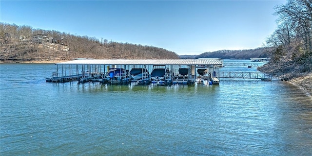 dock area with a water view