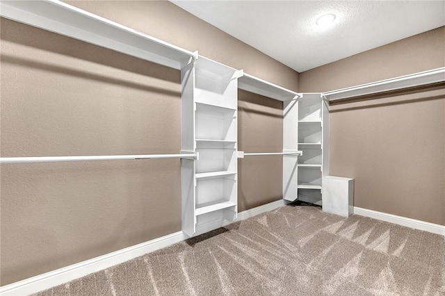 spacious closet featuring carpet floors