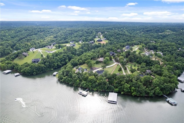 10601 Bluewater Psge, Rogers, AR 72756 - photo 49