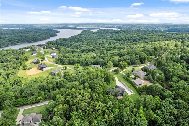 10601 Bluewater Psge, Rogers, AR 72756 - photo 50