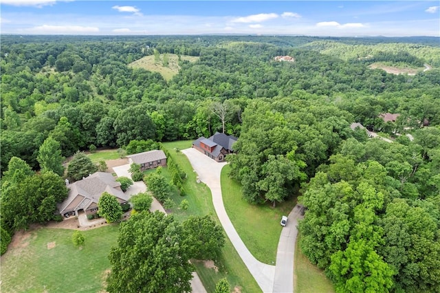 10601 Bluewater Psge, Rogers, AR 72756 - photo 51