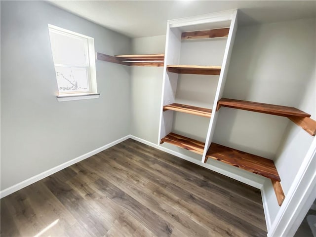 spacious closet with wood finished floors