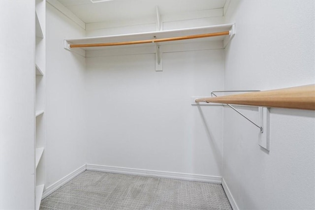 walk in closet with carpet floors