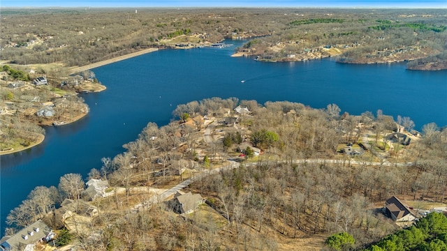 drone / aerial view with a wooded view and a water view