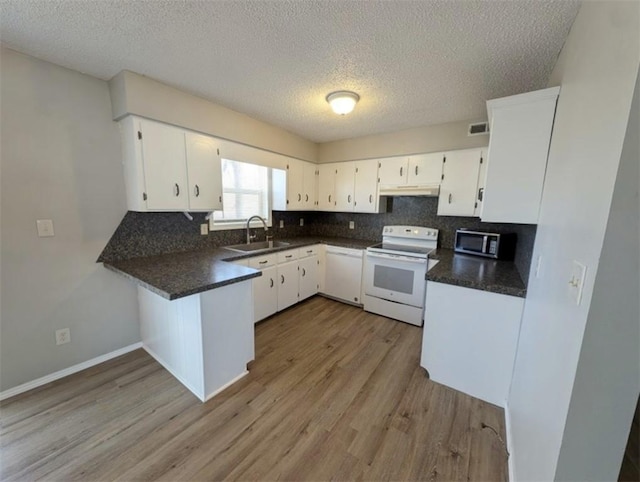 kitchen with light wood finished floors, stainless steel microwave, backsplash, white range with electric stovetop, and a sink