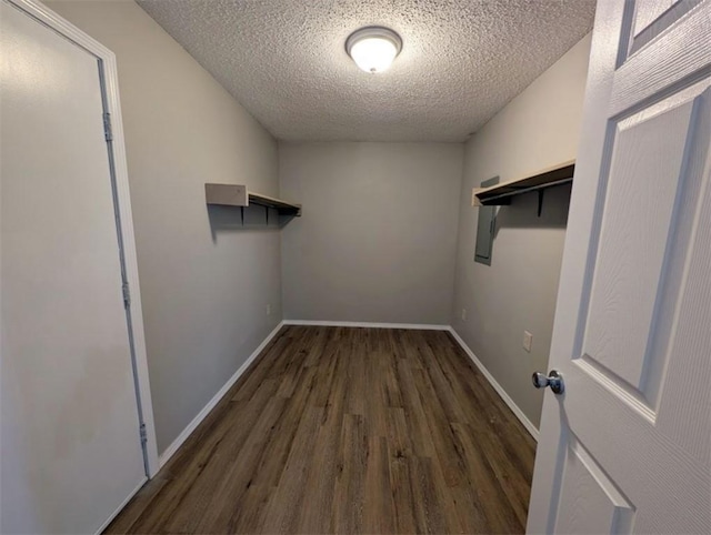 walk in closet featuring wood finished floors