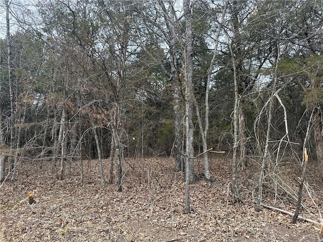 Listing photo 2 for LOT8 Blackfoot Ln, Holiday Island AR 72631