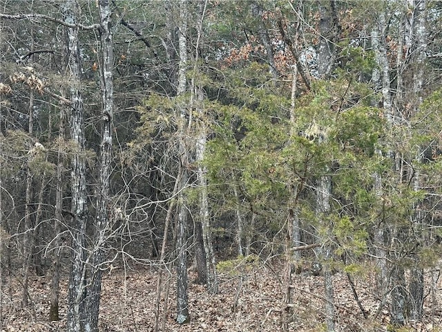 Listing photo 3 for LOT8 Blackfoot Ln, Holiday Island AR 72631