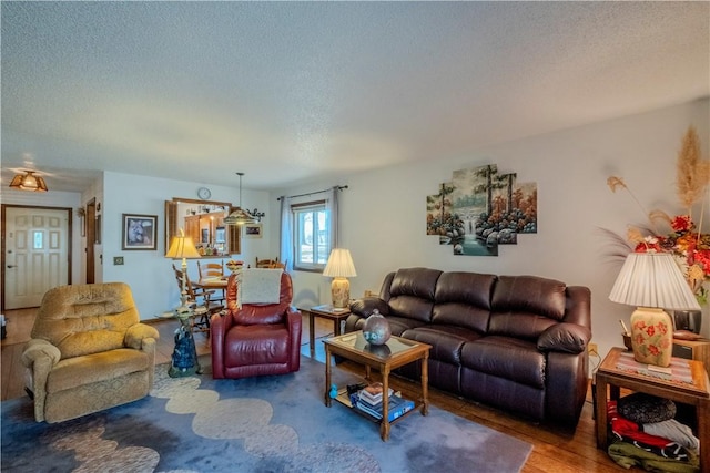 living room featuring a textured ceiling and wood finished floors