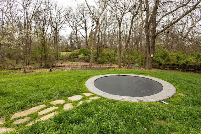 view of yard with a trampoline