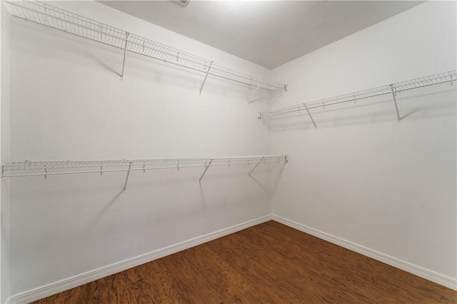 spacious closet featuring wood finished floors